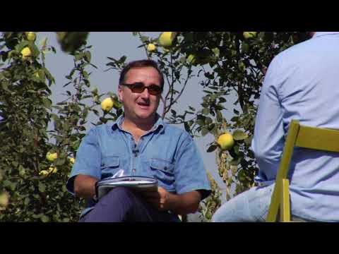 Reč struke ep. 205 20.09.2018. - Proizvodnja dunje