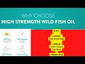 High Strength Wild Fish Oil
