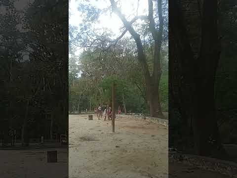 Parque do Piqueri Bairro Tatuapé São Paulo #bairrotatuape #parquepiqueri #zonalestesp