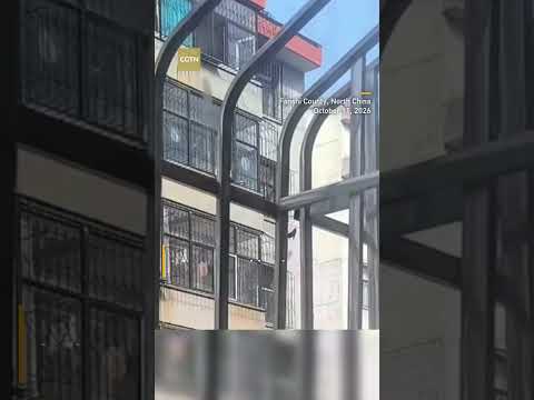 Brave bystander scales building to save child hanging from sixth floor