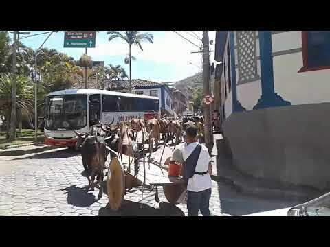 Prados carros de boi indo indo para exposição.