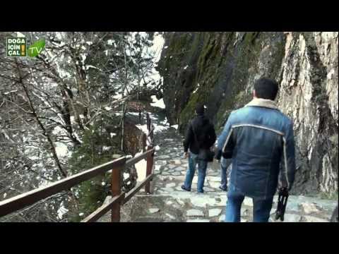 DOĞA İÇİN ÇAL 2 - FRAGMAN - TRAILER