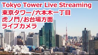 東京中城 桜 live
