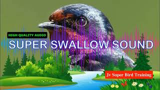 Download lagu Masteran walet kualitas tinggi 10 jam nonstop mp3 Download lagu Masteran walet kualitas tinggi 10 jam nonstop mp3