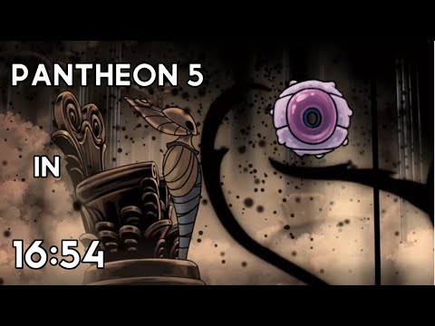 Hollow Knight Speedrun - Pantheon 5 in 16:54 (World Record)