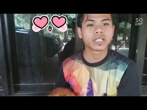 Penjagaan Kucing Tarmizi