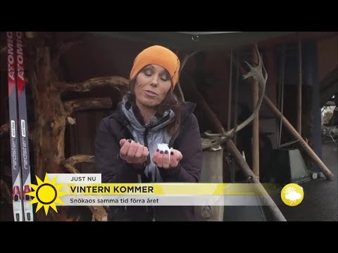 Så går det för vintern: "Där finns hela 40 cm snö!" - Nyhetsmorgon (TV4)