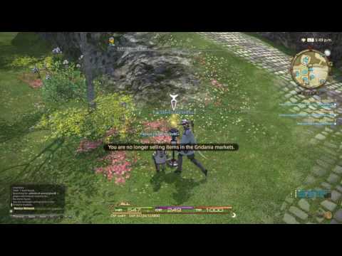 45. FFXIV PS4 Stream - Carpenter Leves