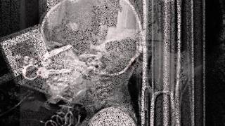 Self Spiller - Rot on Root