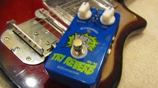 Video thumbnail for Biyang Tri-Reverb RV-10 by Anthony Brown