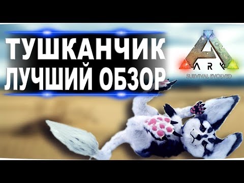 Тушканчик (Jerboa) в АРК. Лучший обзор: приручение, разведение и способности в ark.