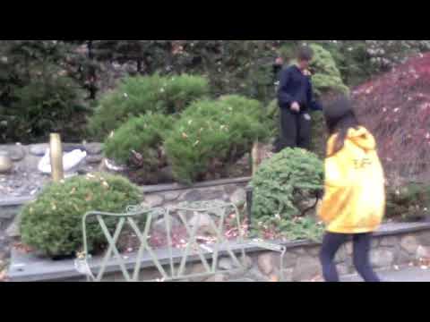 legitimate zombie attack (warning - disturbing footage)