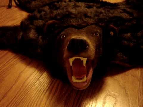Bear Skin Rug video