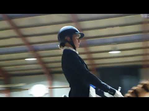 Solrød Rideklub intermediare II September 2019