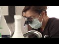 Your Healthy Family Is Dementia Connected With Tooth Loss