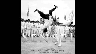 Juney Boomdata Sensei ft P.K. & Charlie Boy Gang Mechi