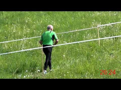 The Run Örebro 2014 - Start, Varv och Mål