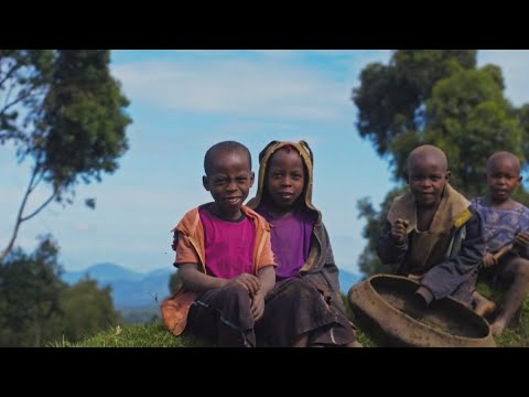 Albertine Apes Alliance