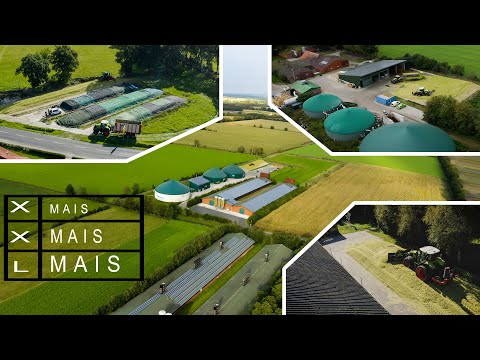 Lohnbetrieb Hilmar Thomßen | Maisernte XXL - 2 BGAs / 4 Betriebe | 4K