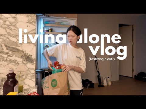 living alone vlog in NYC 🗽 fostering a cat, homecooked meals, slow and quiet days