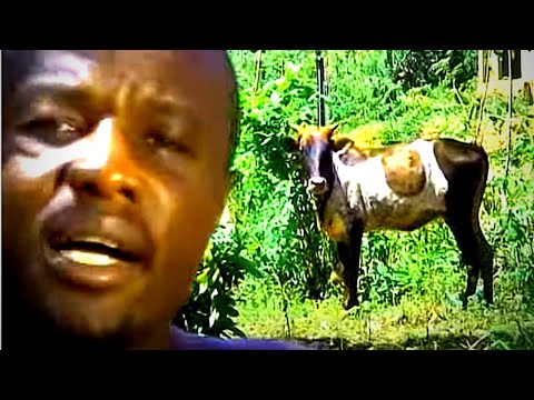 Jabali Afrika - Njelele (Official Music Video)