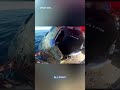 'Welcome home': Video shows crews opening Artemis II capsule after splashdown