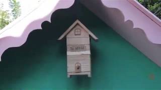 Miniatura do vídeo