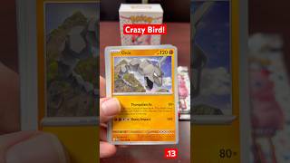 Done with this bird! #pokemon #pikachu #pokemoncards #pokemontcg #pokémon #pokemongo #tcg #podcast