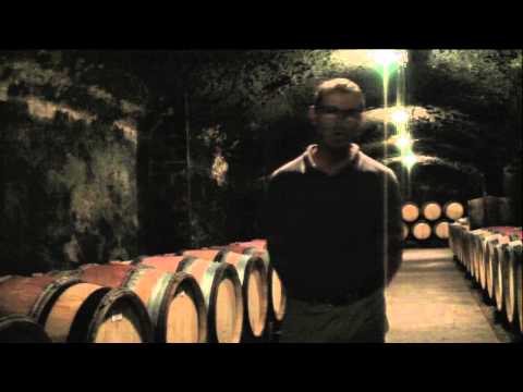 Dégustation au domaine Doudet - Naudin