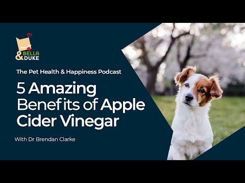 Apple Cider Vinegar For Dogs | Amazing Benefits and How To Use