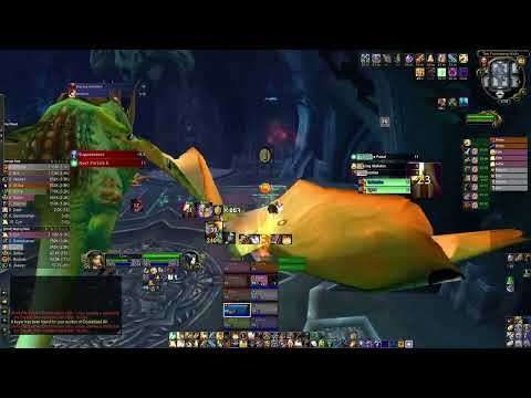 10man Heroic Valithria Dreamwalker 21k hps - Holy Paladin PoV