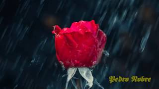 Proteggiti da me -  Marco Mengoni