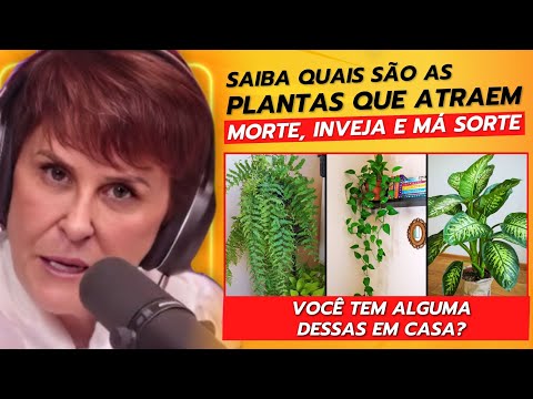 PLANTAS PROIBIDAS em 2025: O Que Nunca Deve Ter em Casa | Márcia Fernandes Revela!