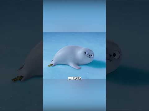 Die beschwerliche Reise der kleinen Robbe