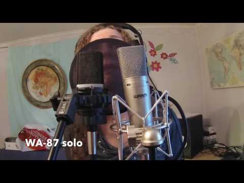 AKG C214 VS Warm Audio WA87 On Vocals - Mildrid&JamtGroovet in Test Mode