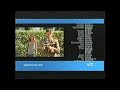 Elf 2003 End Credits USA 2008
