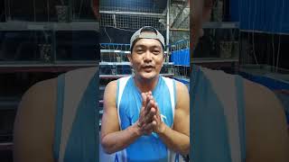Paano mag kundisyon ng mga bagong linis na aquarium ( PART 2 )