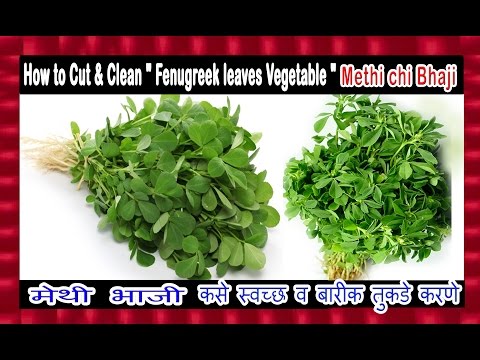 How to Cut & Clean " Fenugreek leaves Vegetable " / Methi chi Bhaji " Video