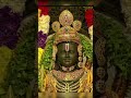 During Ram Mandir Pran Pratishtha Ceremony At Ayodhya Ram Mandir Today Preetikarao712 YTShorts