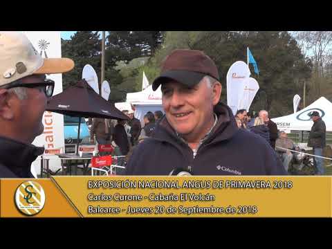 20-08-18 Nota Carlos Curone - Cab El Volcan - Exposición Nacional Angus de Primavera - Balcarce