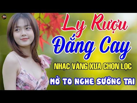 Ly Rượu Đắng Cay - Mở Thật To Liên Khúc Rumba Hải Ngoại Còn Mãi Theo Thời Gian,Nhạc Phòng Trà Dễ Ngủ