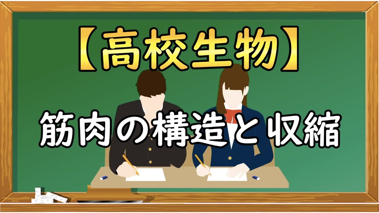 高校生物【筋肉の構造と収縮】オンラインで高校授業
