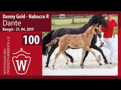 100 Dante Hengst v. Danny Gold - Nabucco R