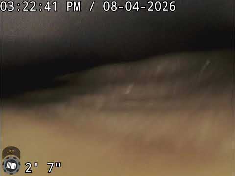 8333 Avalon Dr 98040