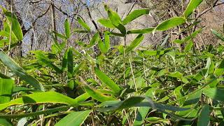 여은-시간이 지나고 지나면