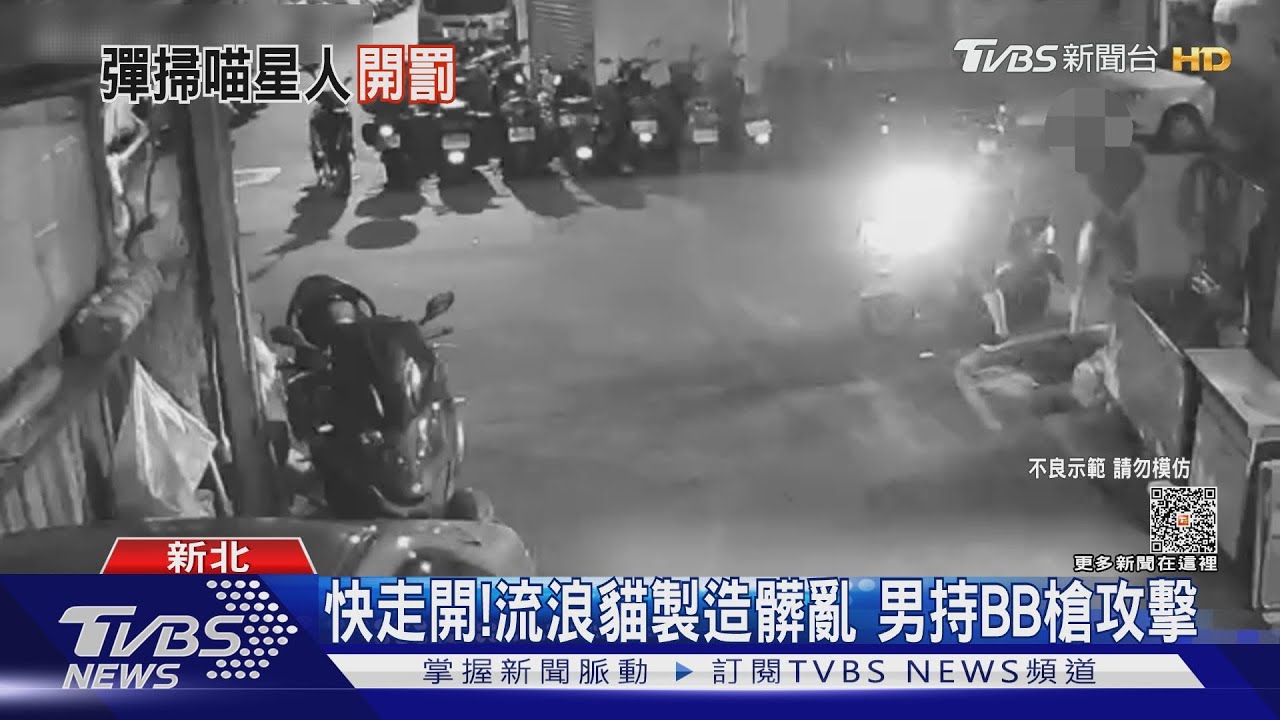 快走開!流浪貓製造髒亂 男持BB槍攻擊