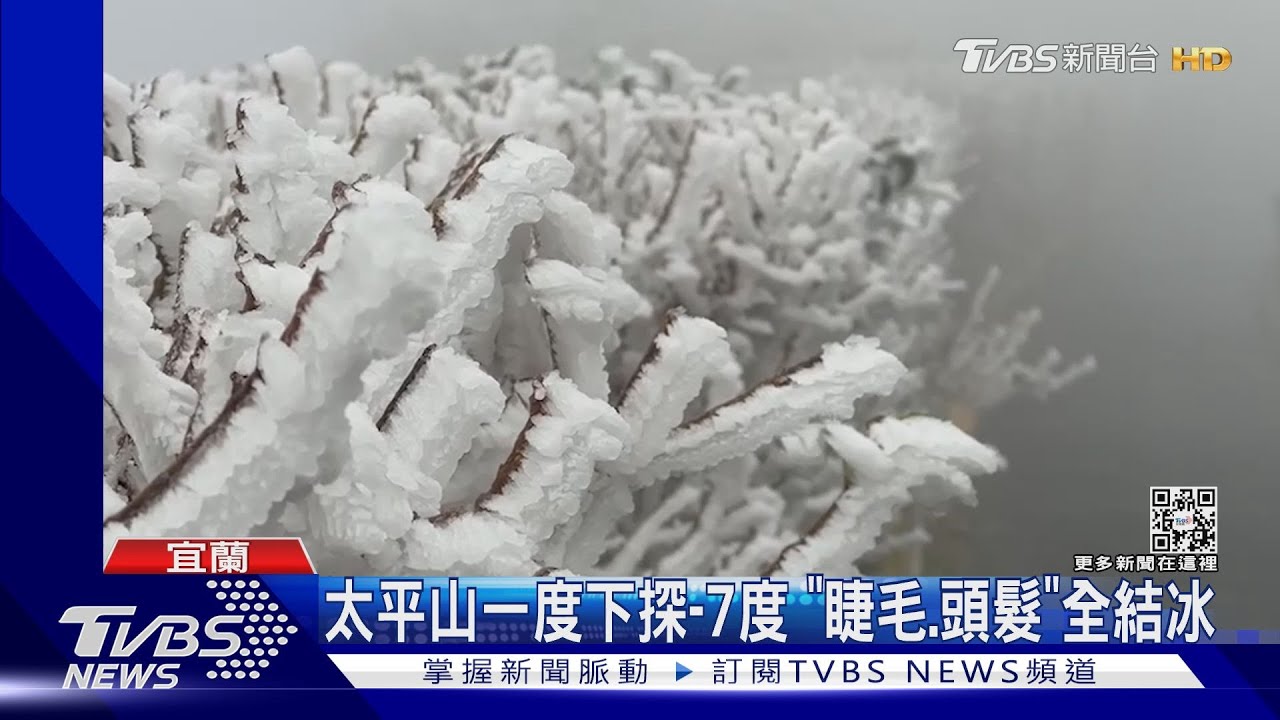 太平山「銀白」世界! 樹木霧淞、地板結冰