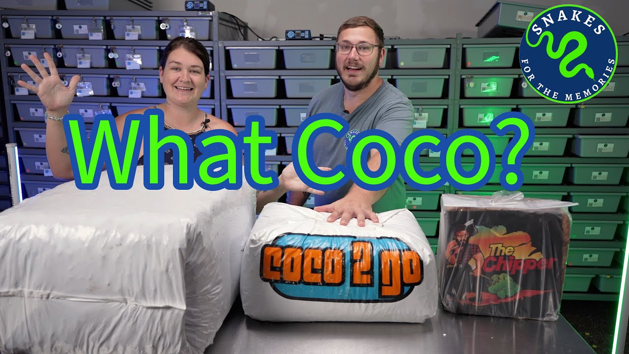 Coco2Go vs. The Chipper: The Ultimate Reptile Substrate