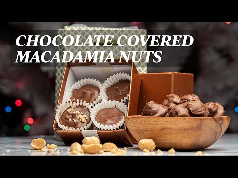 Chocolate covered macadamia nuts