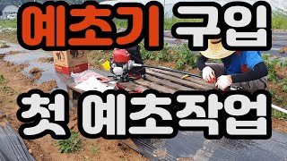 예초기 구입해서 처음으로 예초 작업 해봤어요